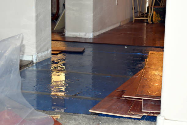 Professional Water Extraction technician working in North Chicago, IL